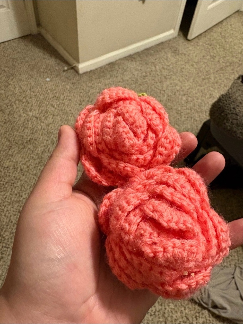 Handmade Coral Pink Crochet Rose Set - Home Art Fiber Arts